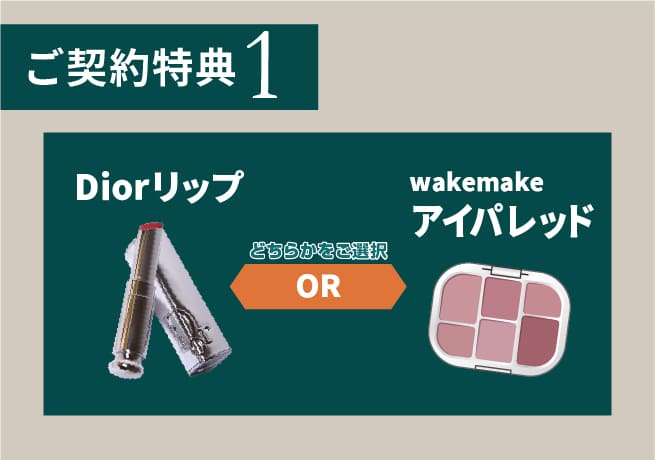 wakemakeアイパレッドorディオールリップ いずれかプレゼント